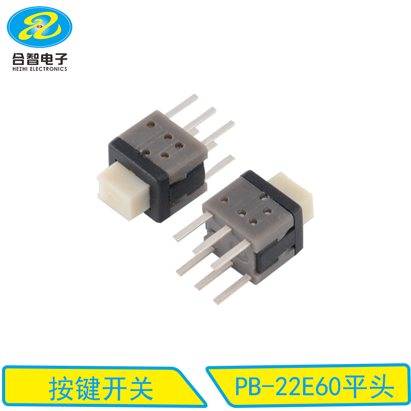 PB-22E60平头