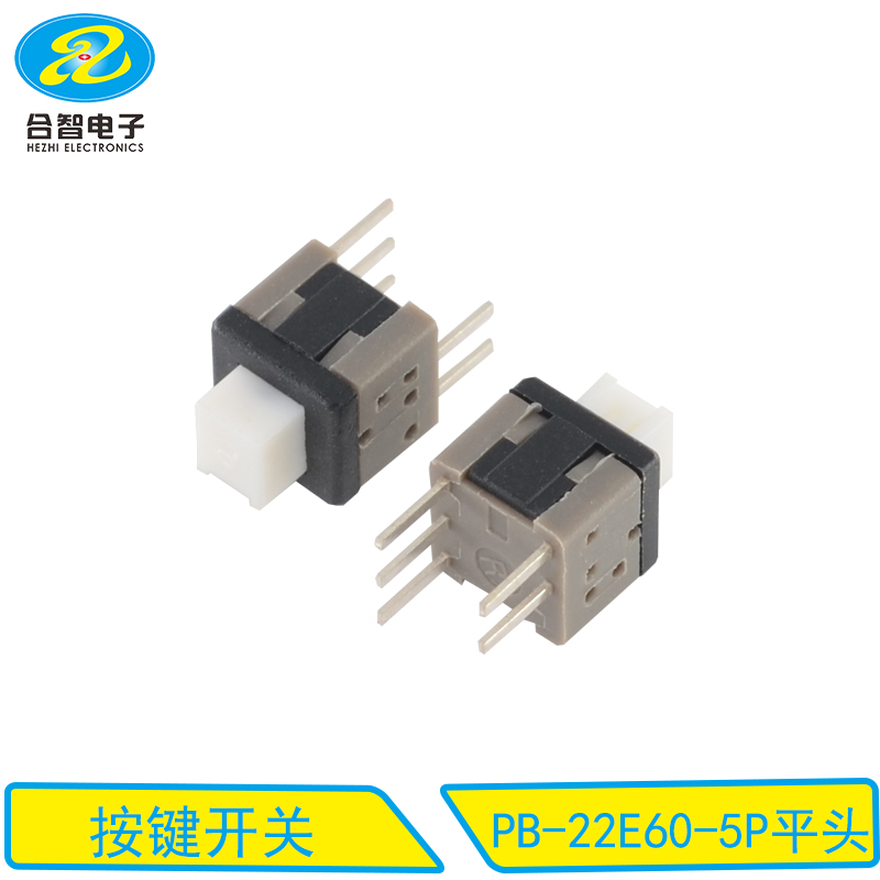PB-22E60-5P平头