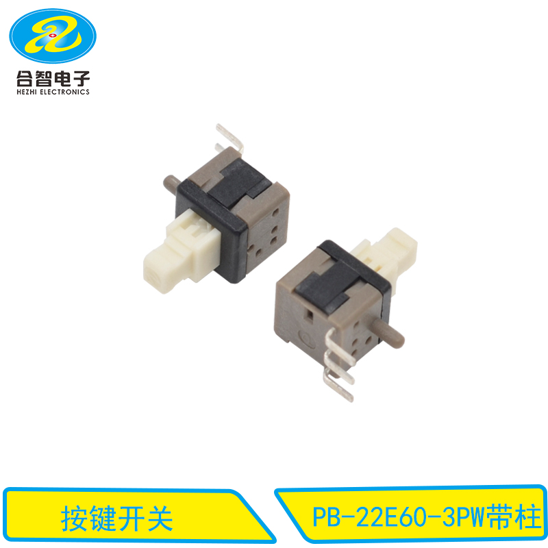 PB-22E60-3PW带柱