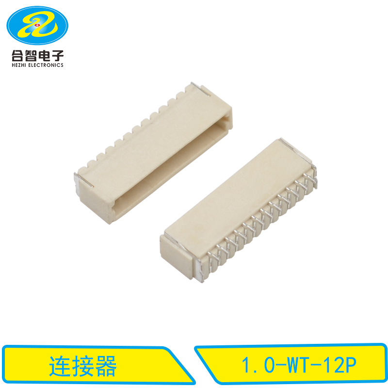 1.0-WT-12P