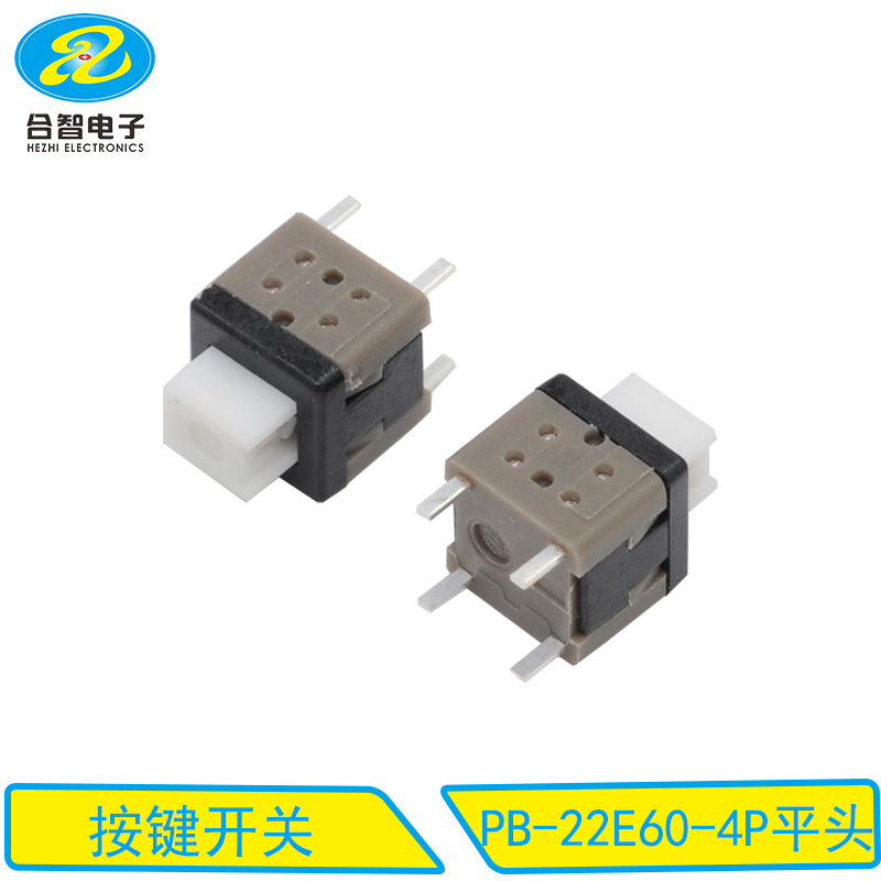 PB-22E60-4P平头