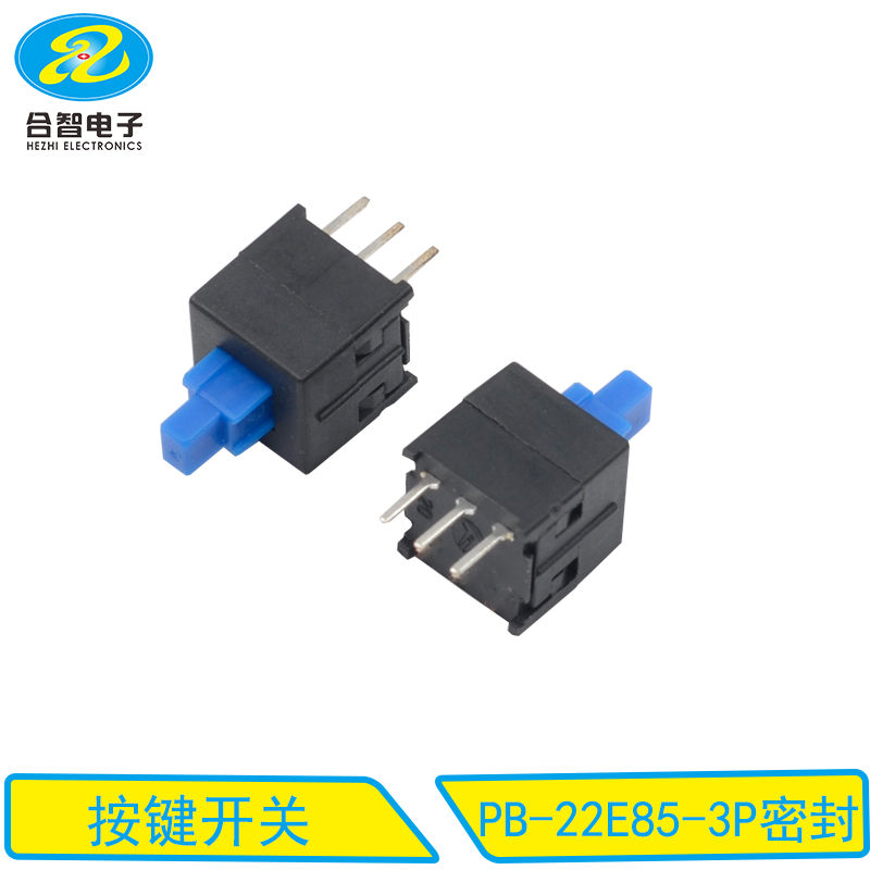 PB-22E85-3P密封